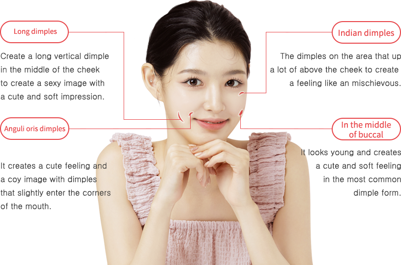 dimple region model img