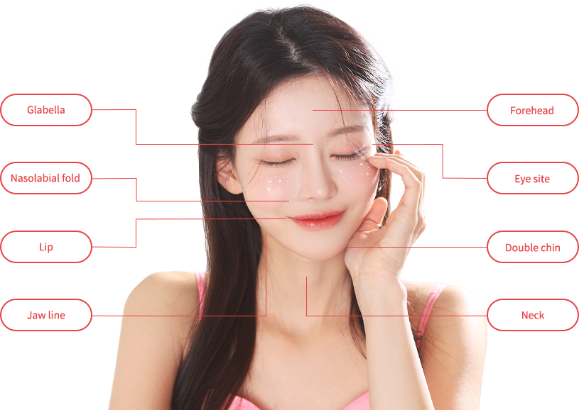 surink region model img