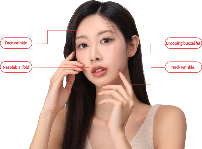 wide_double model img