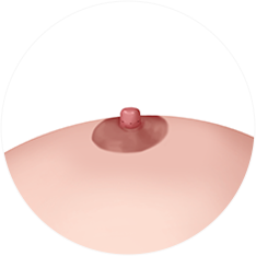 nipple_img05