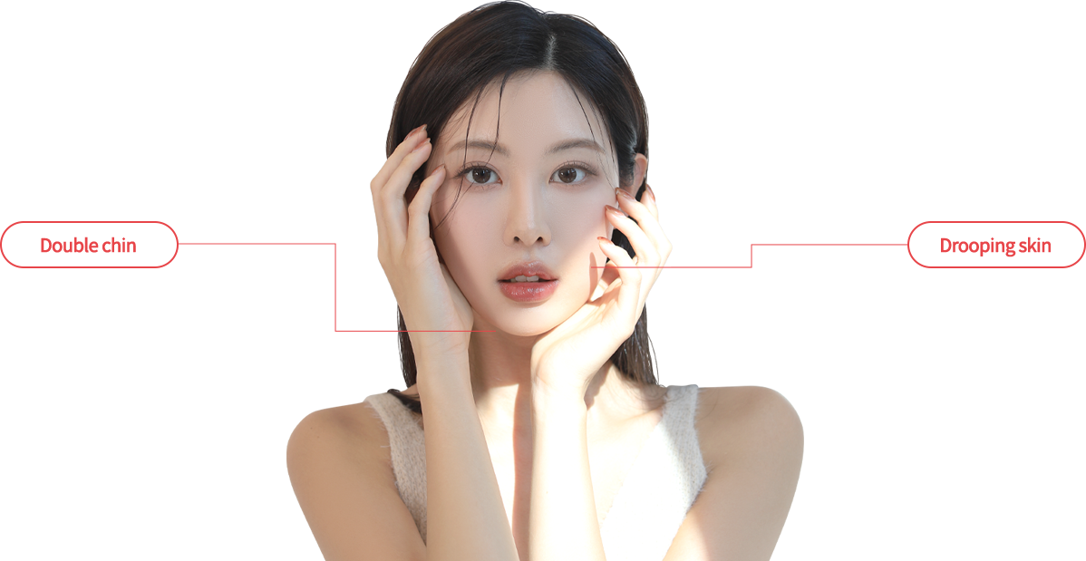 double_jaw model img