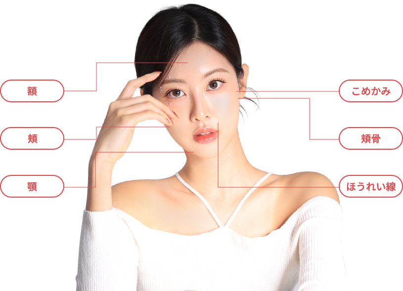 qofill region model img