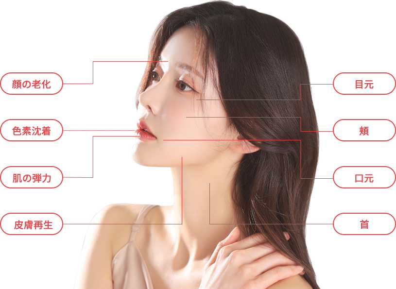 rejuran region model img