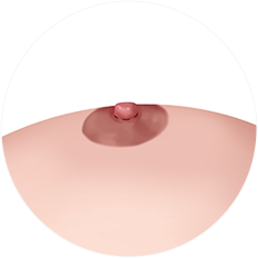 nipple_img17