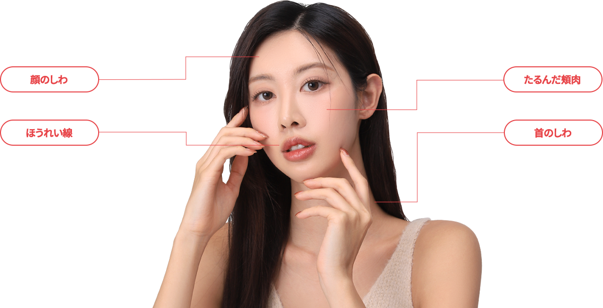 wide_double model img