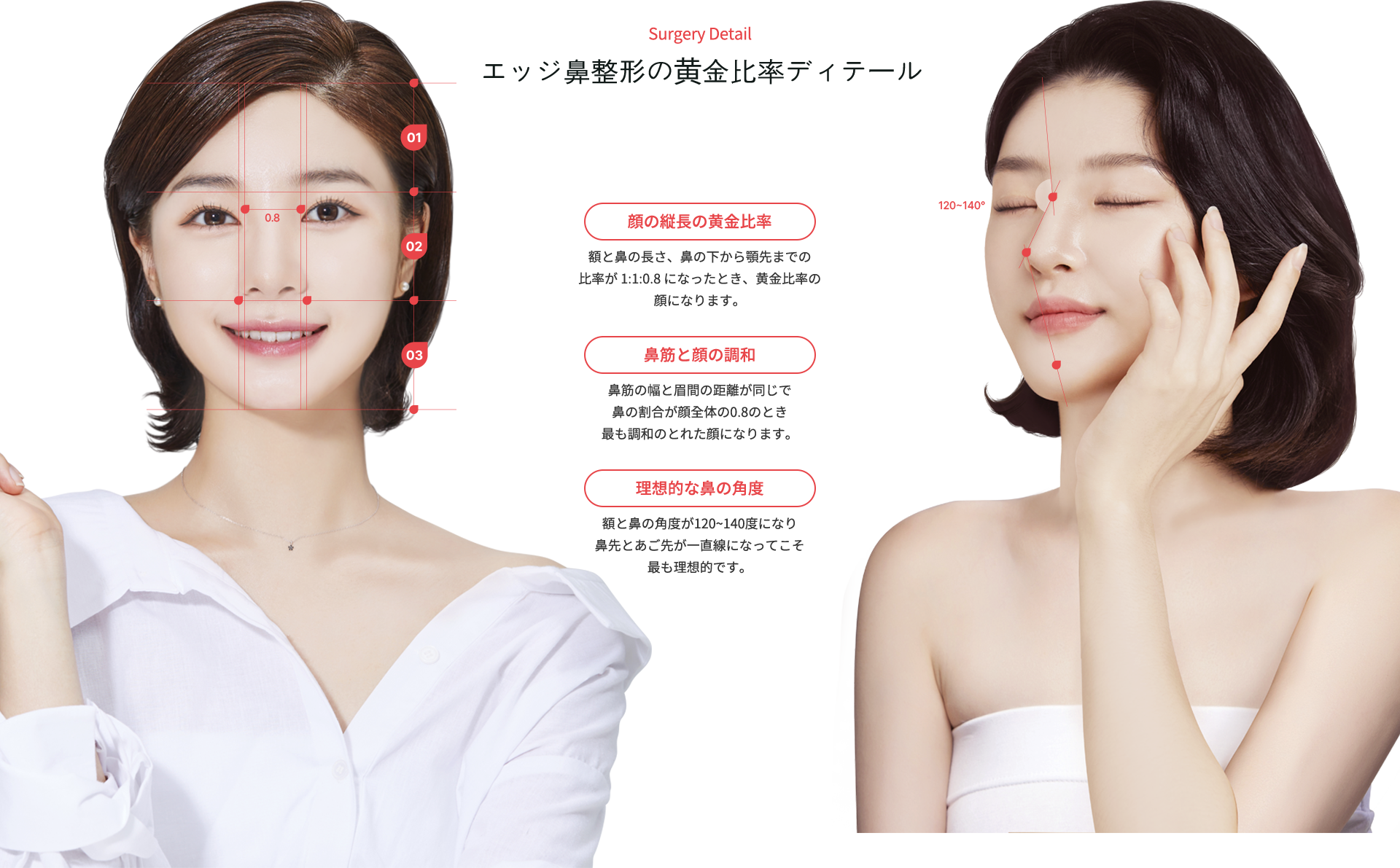 nose_rhinoplasty model img