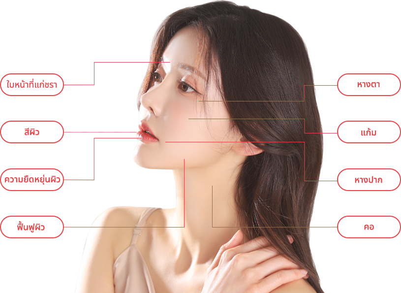 rejuran region model img