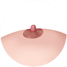 nipple_img06