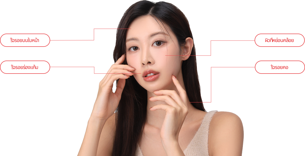 wide_double model img