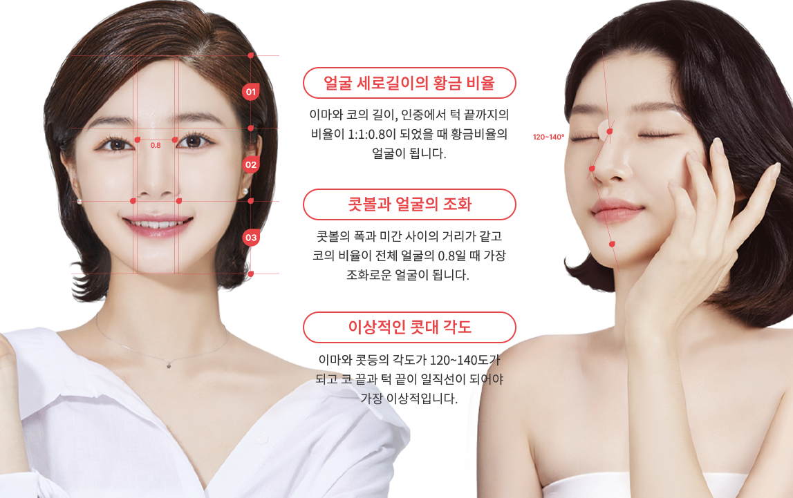 nose_rhinoplasty region model img