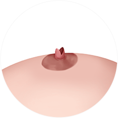 nipple_img09
