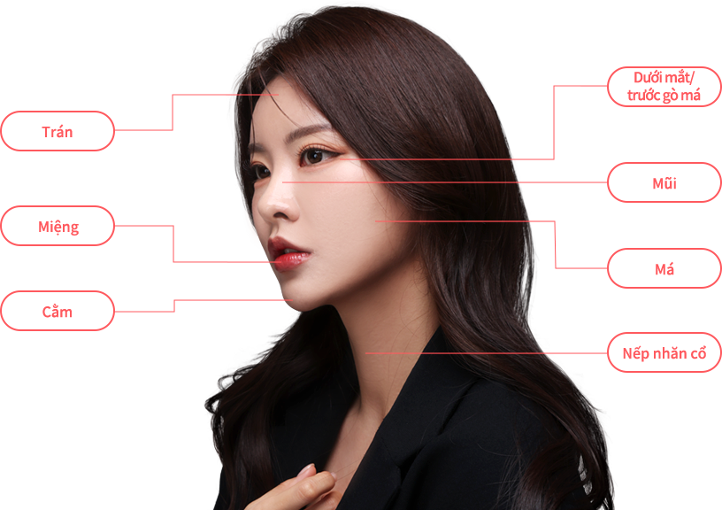 mobile region model img