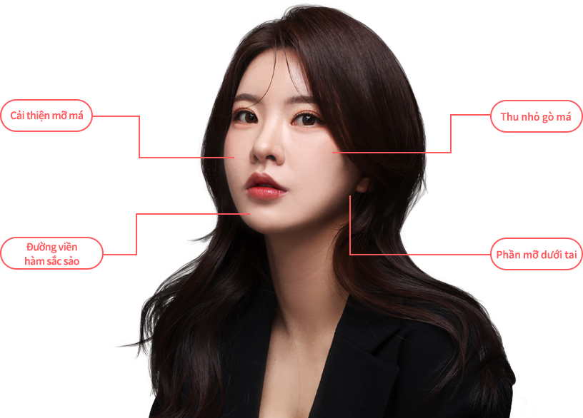 sculprure region model img