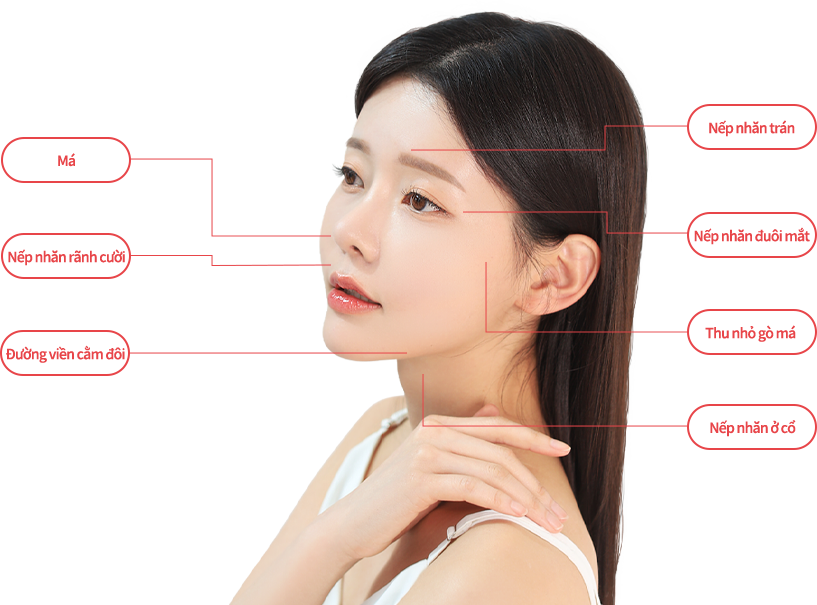 airjet region model img