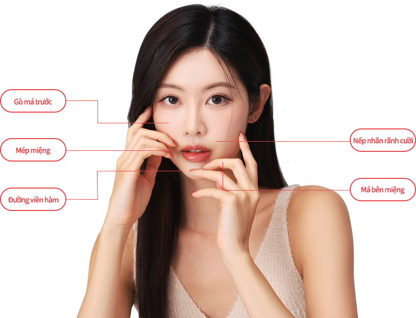 inmode region model img