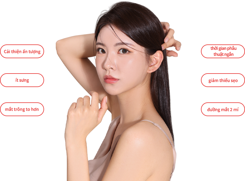 eye_incision model img