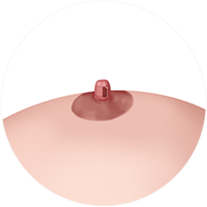 nipple_img03