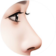 nose_type03