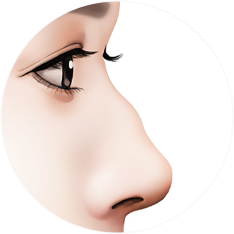 nose_type04