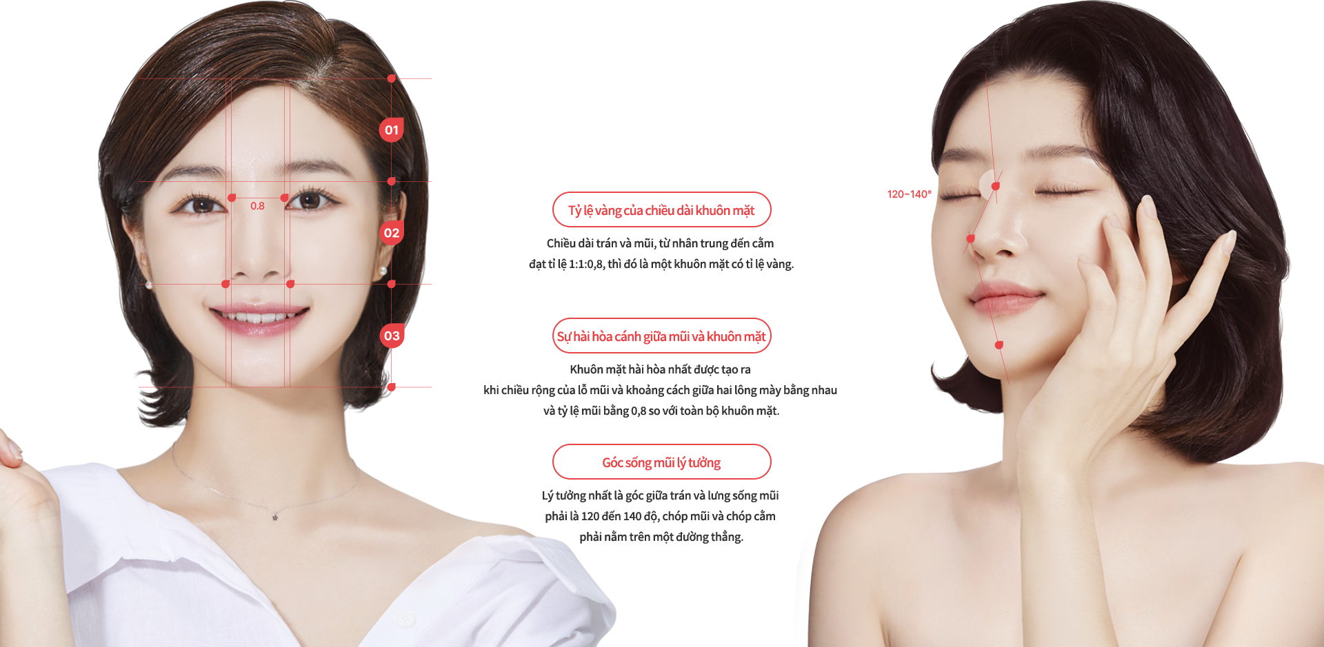 nose_rhinoplasty model img
