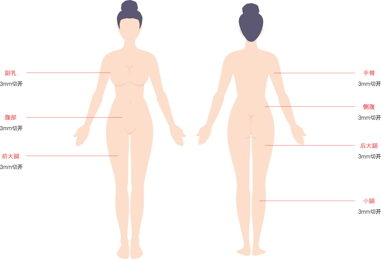 body_lip01 model img