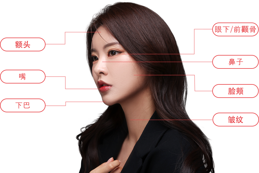 mobile region model img