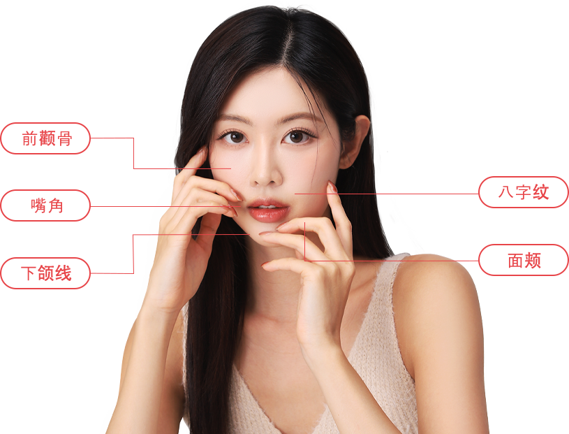 inmode region model img