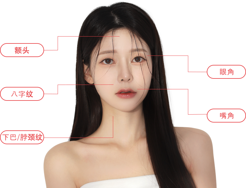 titamium region model img
