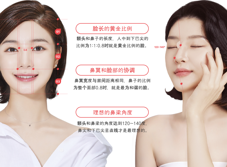 nose_rhinoplasty region model img